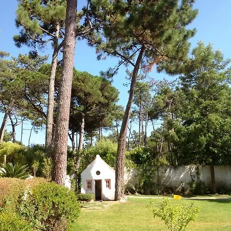 Ferienhaus Casa Do Banzao Colares